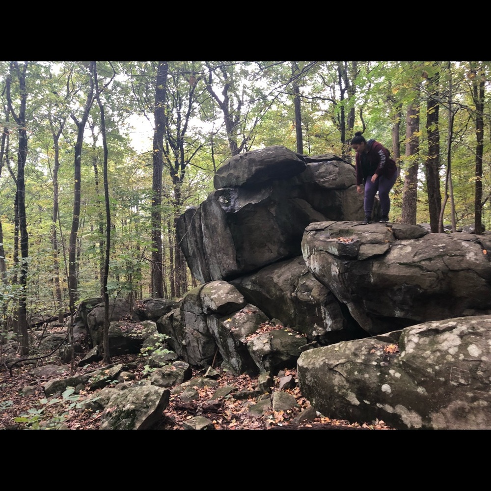 Meet your Posher, Ambar